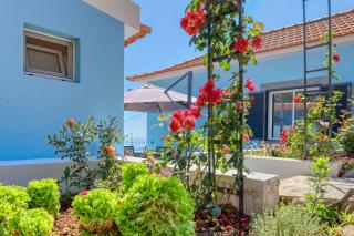 Silva's House, a Home in Madeira - 7