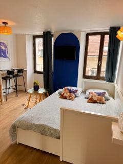 Confortable Studio centre-ville Thonon - 4