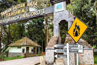 Tenggir Park Cottage and Glamping Tawangmangu - 8