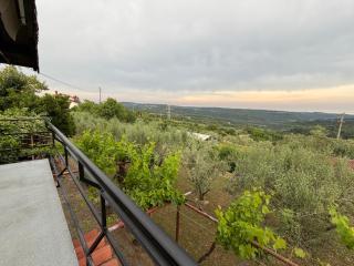 Apartma Vista Baredi - 7