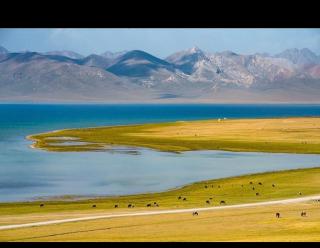Davan Guest House& Horse Trekking - 0