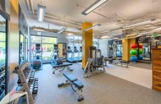 Apt Steps from Crystal City Metro W Gym - 4