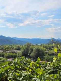 The Wine Cellar Apartment Skadar Lake - 5