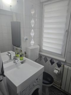 2 bedrooms apart in Cismigiu area - the real center of the city - 4