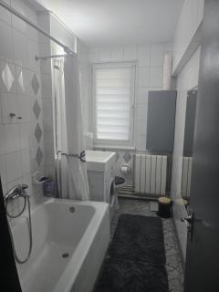 2 bedrooms apart in Cismigiu area - the real center of the city - 2