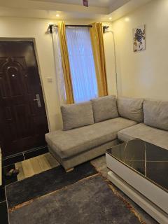 Thika Executive Homes - 4