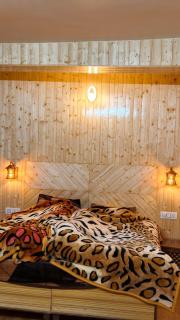 Naggar cottage for couples - 9