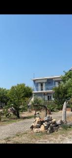 The Beach House - 4