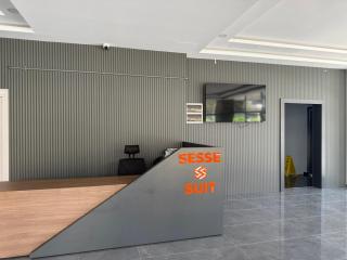Sesse suit - 2