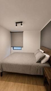 Santiago centro Excelente Apartamento Nuevo Descanso familiar - 5