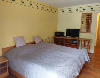 Apartment 35, 36 Christopherhof Grafenwiesen - 0