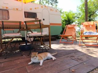 Camping Arribes del Duero - 6