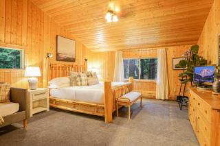 Stargazer Chalet - 4