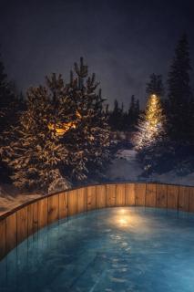 Chochołowska & Świerki - Góralskie Apartamenty SPA - 1