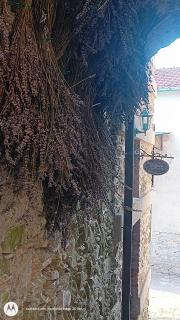 La Greciola - 9