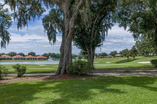 Lake Jovita Golf Villa #9 - 8