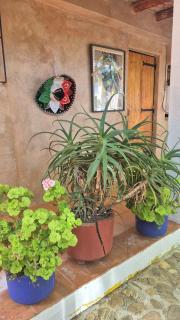 Oaxaca Rental - 4