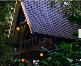 Silver Mist Jungle Cabana Ella - 3