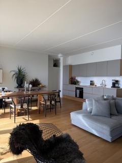 Aarhus modern interior - 2