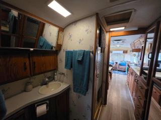 Airstream w flush toilet city water hot tub - 8
