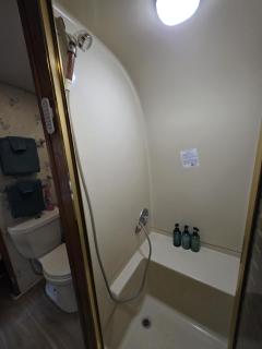 Airstream w flush toilet city water hot tub - 9