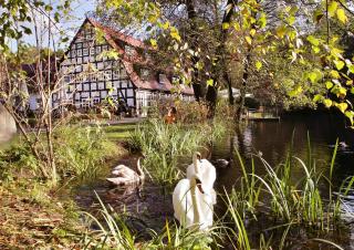 Springbach-Mühle Belzig - Bad Belzig - 0
