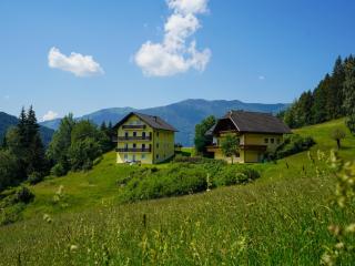 RABENSTEINER - Panorama Apartments - Bad Kleinkirchheim - Bad Kleinkirchheim - 5