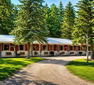 Room 29-1 Queen 1 Full Suite-Woodland Motor Lodge - 3