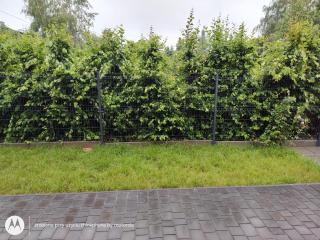 Apartament Brzeziny Zacisze-Ogród - 7