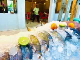 Ocean Bay Hostel - 2