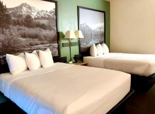Hotel Salmon - 9