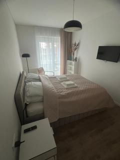 Modern Apartment next to Kaunas castle - 7