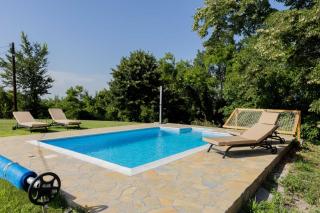 Vila Živković - 1