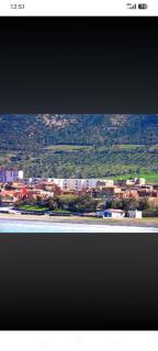 Guelta - 5