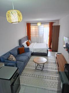 Affordable Studio Apartment Kasarani, Seasons Road - 0