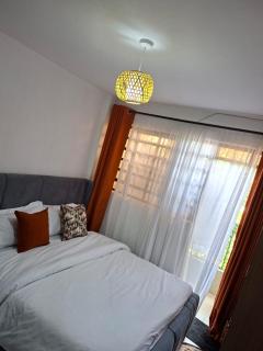 Affordable Studio Apartment Kasarani, Seasons Road - 9