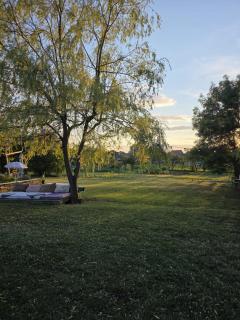 Lavander Garden - 2
