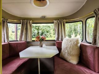 Waaldijk15, Vintage Caravans in nature - 7