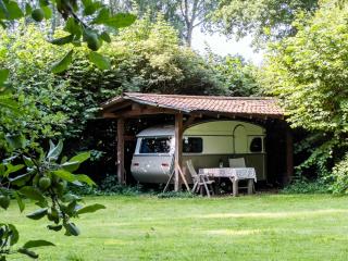 Waaldijk15, Vintage Caravans in nature - 5