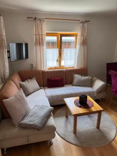 Apartment in Salzkammergut near Hallstatt - 2