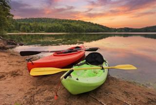 Lakefront Group Retreat on Swan Lake Sleeps 18 Kayaks, Fire Pit & Dock - 1