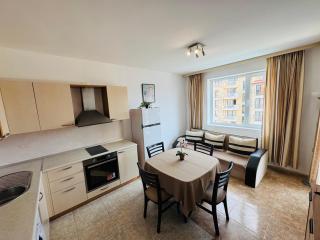 SUNNY HOUSE 302 Two Bedroom Apartament - 9