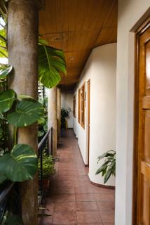 Arbol de Fuego Eco-hotel - 3