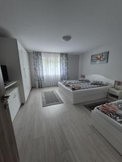 Casa De Oaspeti Anna - 9