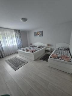 Casa De Oaspeti Anna - 0