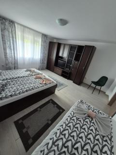 Casa De Oaspeti Anna - 7