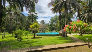 Greenheart Resort De Plantage - 3