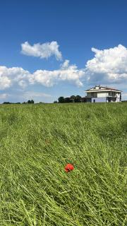 Villa Kalos - 9