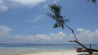 Novella Homestay - 4