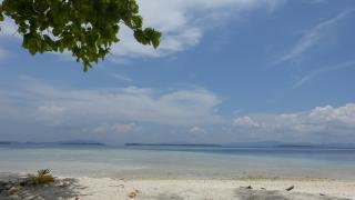 Novella Homestay - 3